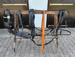 schönes einspänniges Brustblattgeschirr