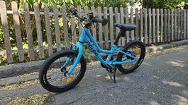 Naloo Chameleon 16 – Kinderfahrrad, 16 Zoll