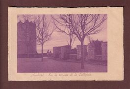 NEUCHÂTEL - Sur la Terrasse de la Collégiale - 1909