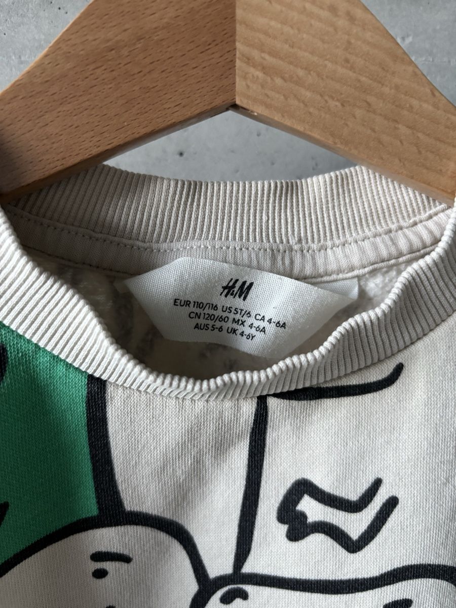 H&M Pulls et sweat-shirts: Pullover H&M 110 116 beige Dino  – D'occasion à Rebstein par wendy321meins 2
