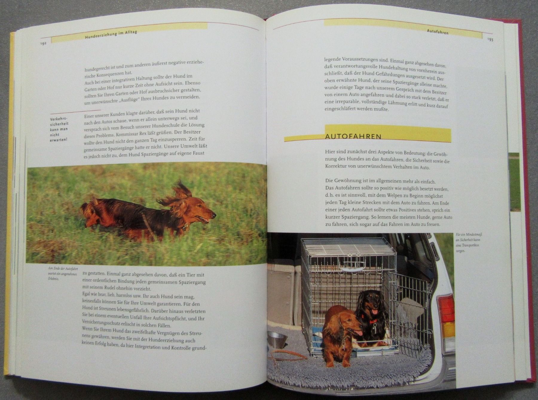 Libri: Das Kosmos Erziehungsprogramm für Hunde - sanfte Methoden – Usato da Auenstein venduto da Padabimbim 6