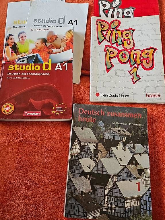 Libri: Deutsch lernen Bücher – Usato da Roggliswil venduto da Amita59