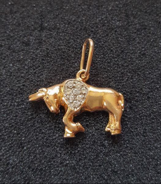Ciondoli: Gold 585 Anhänger  Mit Steine – Nuovo (secondo la descrizione) da Wald ZH venduto da Dasilver 6
