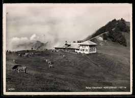 AK Libingen, Gasthaus Kreuzegg