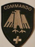 Badge Armée Commando Original Klett neu