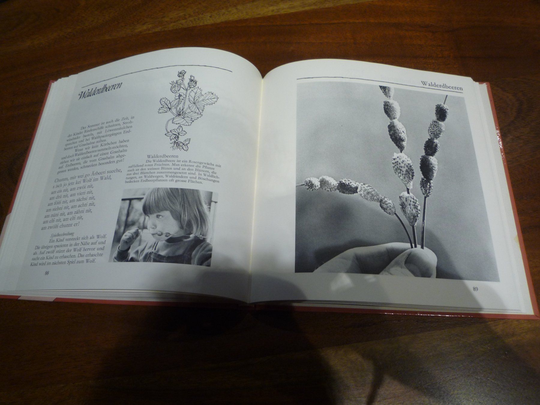Libri: BUCH NATURSPIELZEUG – Usato da Andwil SG venduto da schmei 3