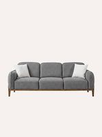 Modernes und neues Sofa
