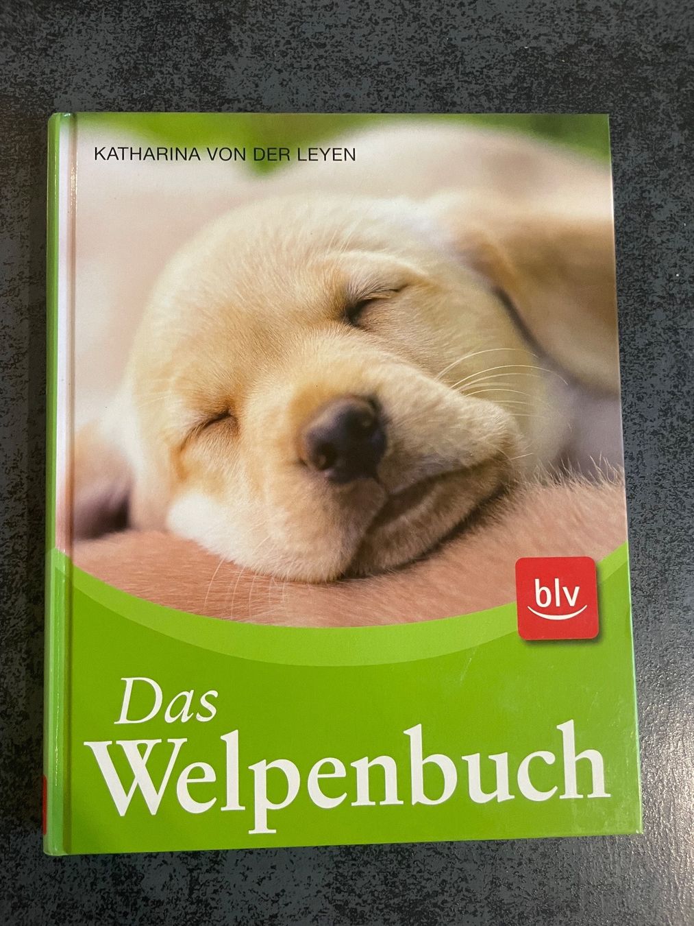Libri: Das Welpenbuch – Usato da Niederglatt ZH venduto da vul_v86c