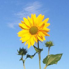 Profile image of PuppenOutfits