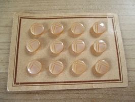 12 Glasknöpfe Gablonz Glas Knopf Originalkarton