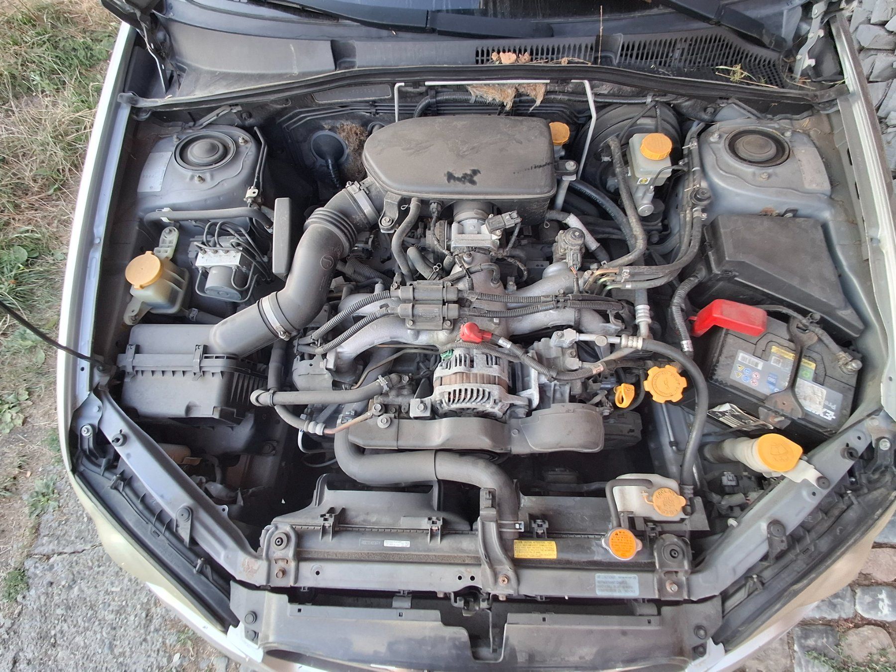 Subaru Automobili: Subaru Legacy 2.0 AWD – Usato da Konolfingen venduto da ced_wm9s 2