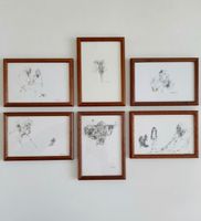 Mags Glanzmann, 6 original drawings VERY DECORATIVE!