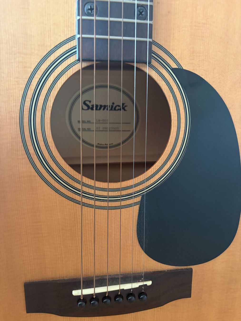 Musikinstrumente: Guitare Samick avec accessoires – Neu (gemäss Beschreibung) aus Biel/Bienne von ami_dr9y 3