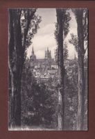 LAUSANNE - La Cathédrale au travers des arbres - 1907