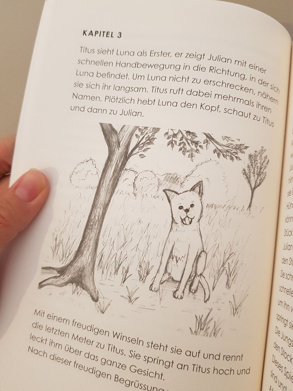 Libri: Kinderbuch "Silber in Augusta Raurica" NEU – Nuovo e nell'imballaggio originale da Liestal venduto da corneb 2