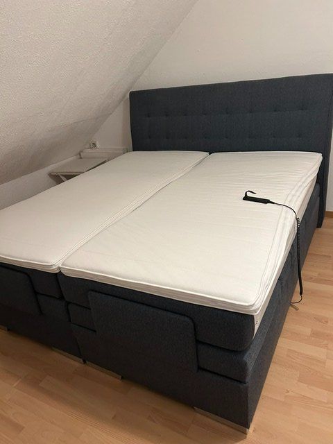 Letti: Boxspringbett 180 – Usato da Auenstein venduto da Marketinfabrik