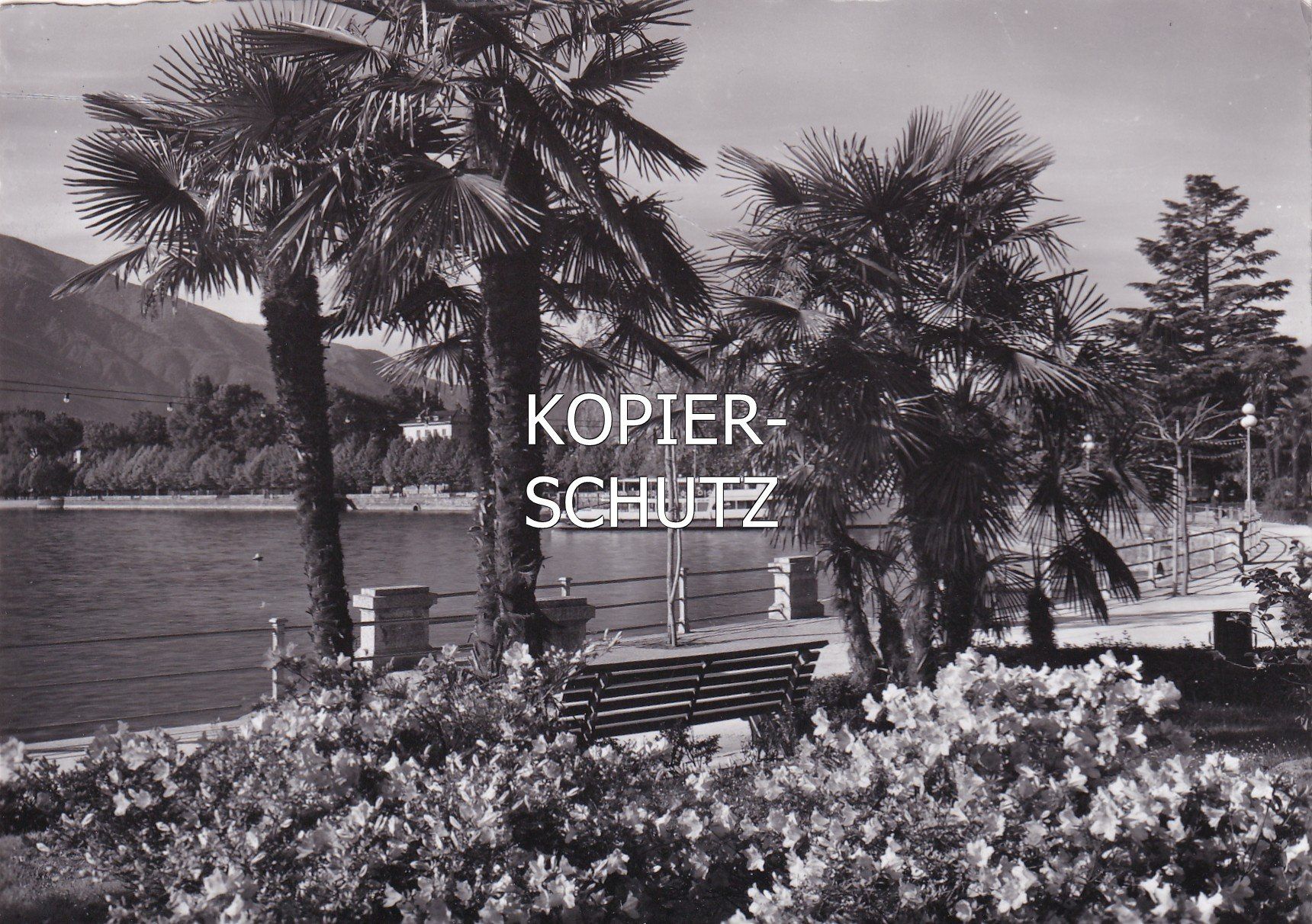 Cartoline postali: Locarno - Lungolago (mit Schiff) /mp – Usato da Hombrechtikon venduto da Rudolf07