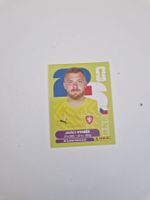 Panini Sticker CZE3