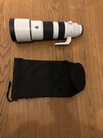 Sony FE 200-600mm f5.6-6.3 G OSS Lens used