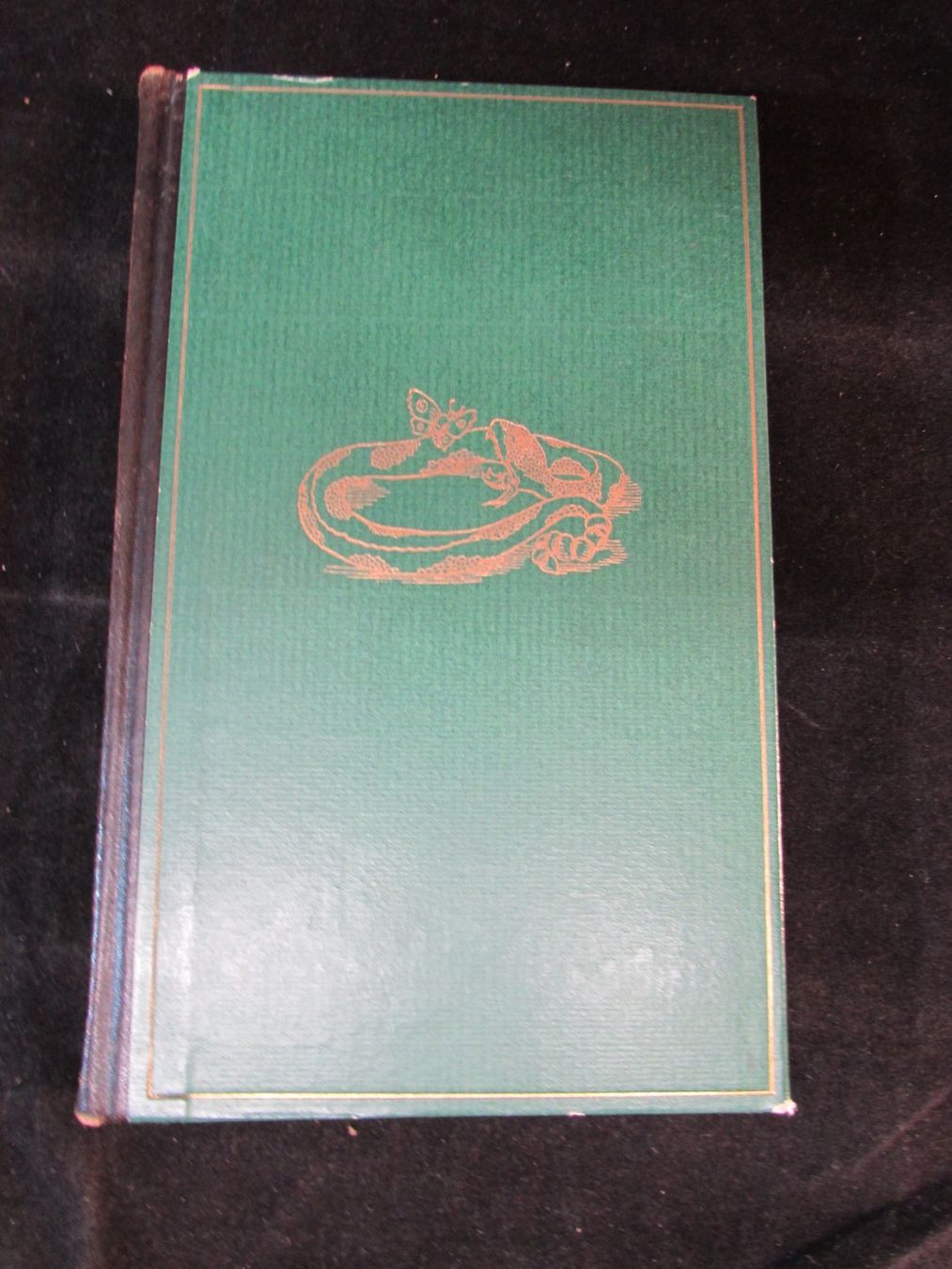 Livres: P.Schlemihls wunderb.Geschichte – D'occasion à Walchwil par Shells1 1