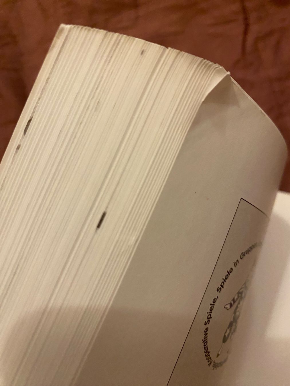 Libri: Kinder lieben Rituale Langlotz Oekotopia Buch – Usato da Basel venduto da him_5r5n 9