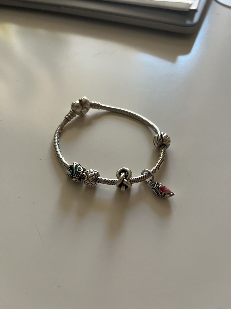 Bracciali & Braccialetti: Pandora Armband mit Charms – Usato da Zürich venduto da vitobossha 1