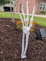 Halloween Skelett Hand Dekoration Garten. Halloween Deco