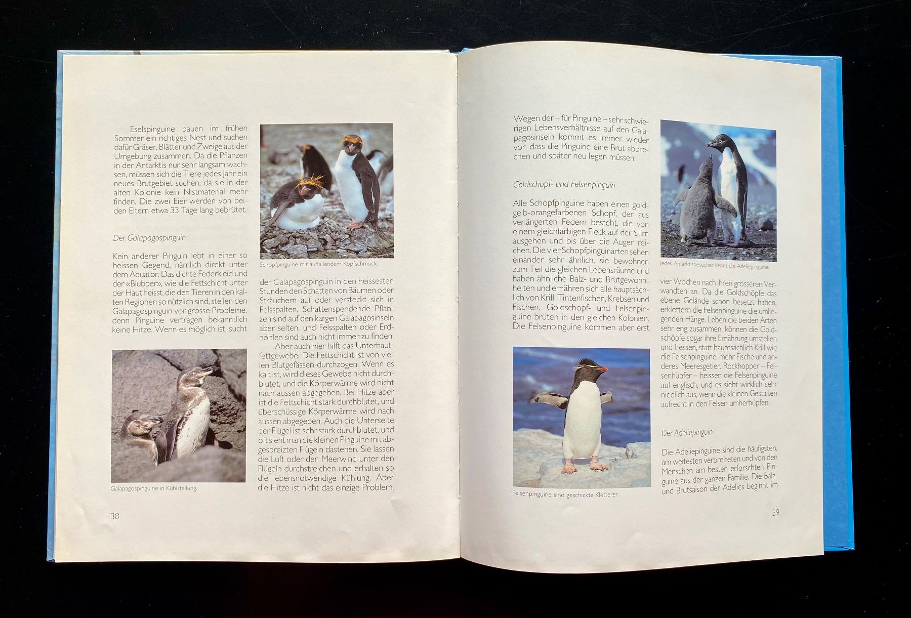Libri: Ich bin ein Pinguin 🐧 – Usato da Nussbaumen AG venduto da schuba2000 3