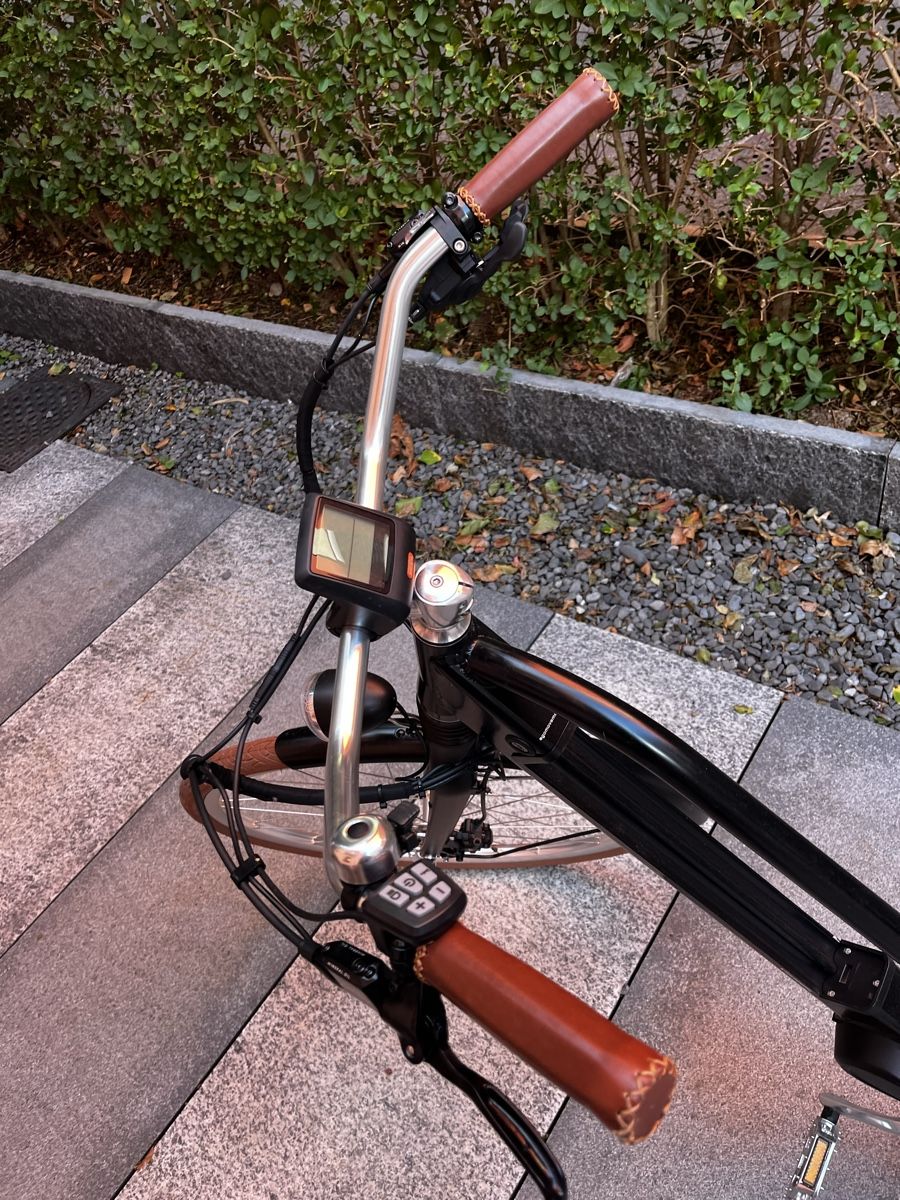 Ego Movement Velos: Damen E-Bike 'EGO Classic' – Neu (gemäss Beschreibung) aus Winterthur von car_9bzt 2