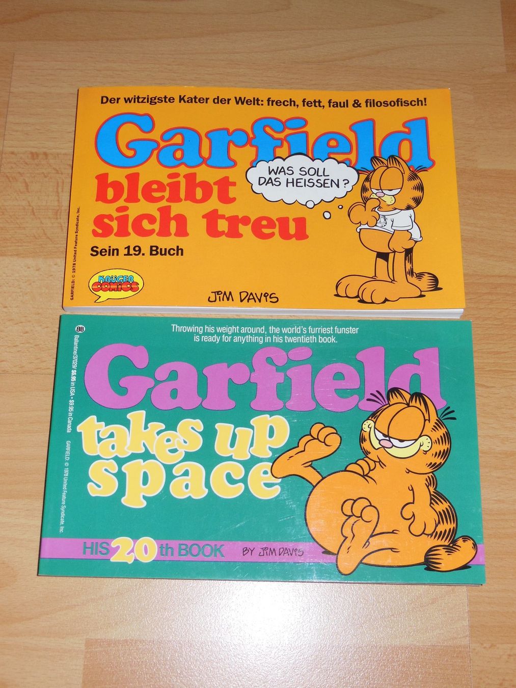 Comics: Garfield – Gebraucht aus Liesberg von Ragged