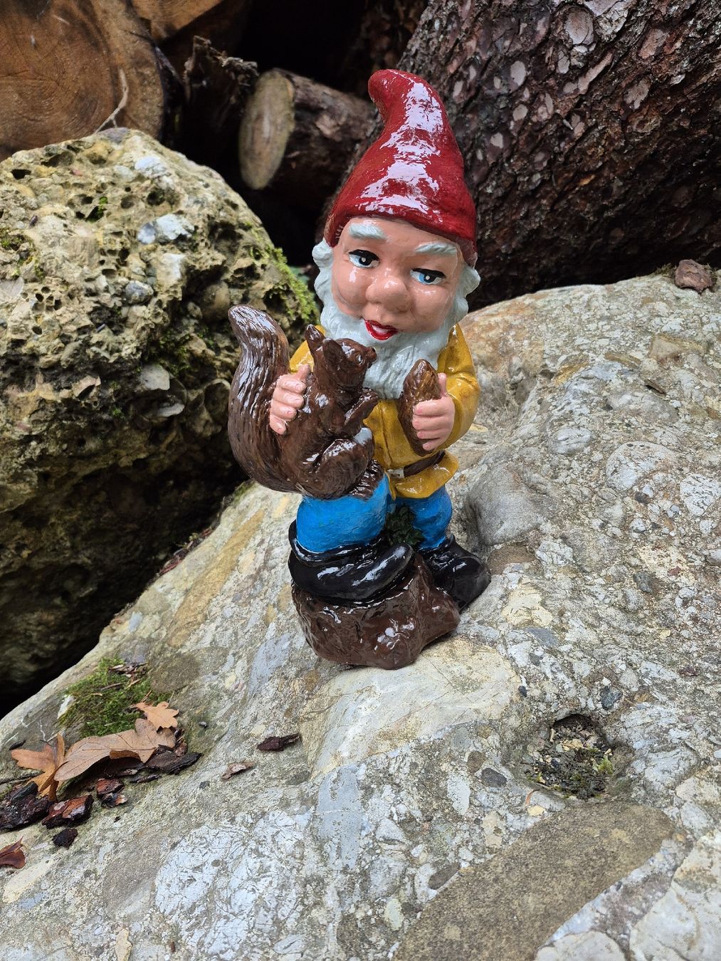 Statuette: Gartenzwerg mit Eichhörnchen – Usato da Baar venduto da Zwergen-Atelier4 1