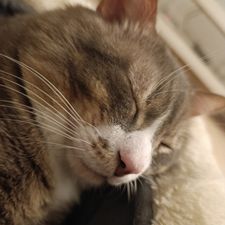 Profile image of mehhhdi