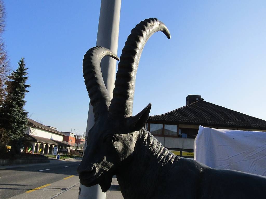 Sculptures & Statues: Steinbock in Lebensgrösse  - Bronze – D'occasion à Herzogenbuchsee par Winigo 3