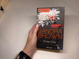 ROMAN: Sandra Brown, Eisige Glut