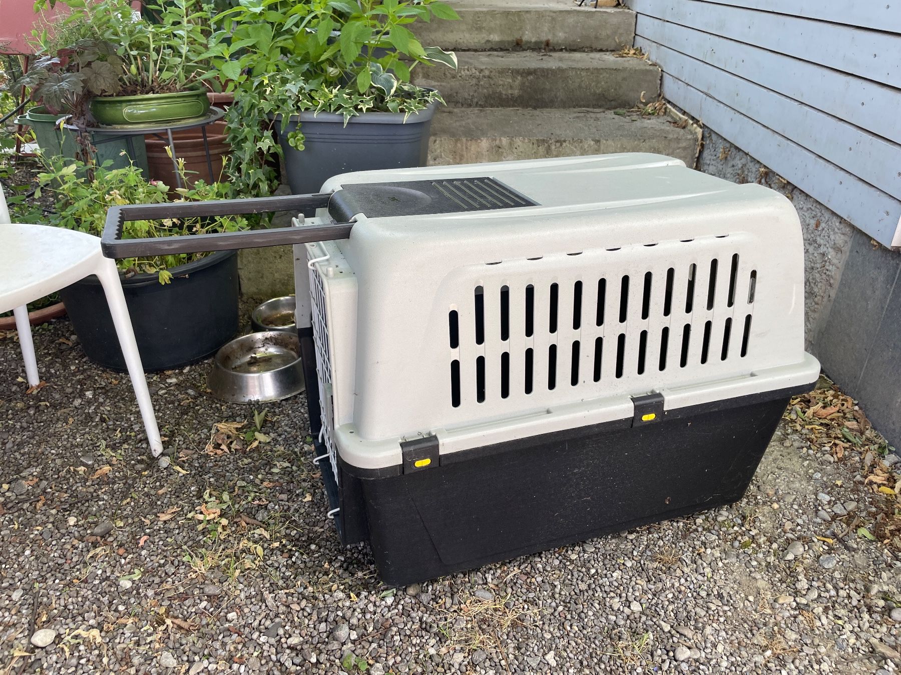 Ferplast Gabbie, trasporto & Sicurezza: Hunde-Transportbox Gross – Usato da Winterthur venduto da TheVento1 1