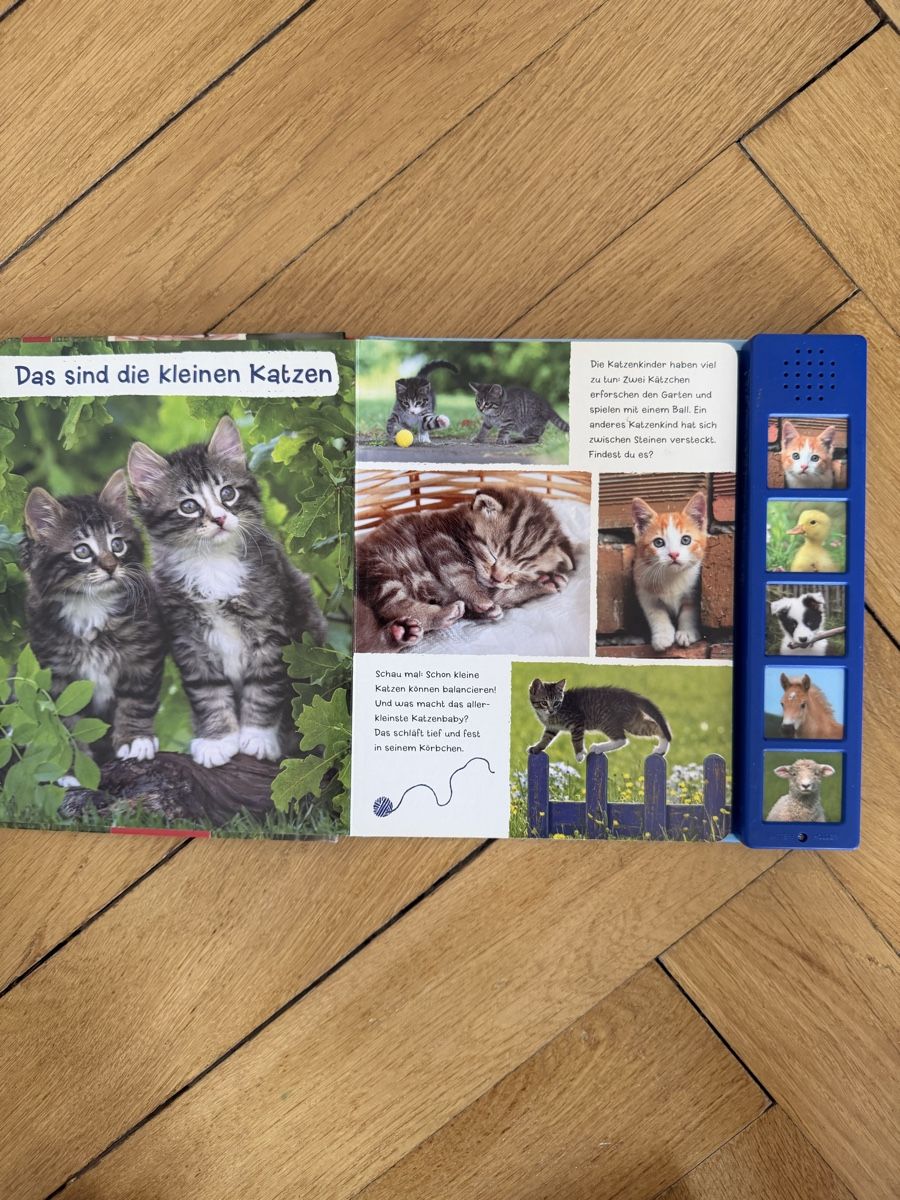 Bücher: Tierkinder Buch mit Tiergeräuschen - Coppenrath Verlag – Gebraucht aus Bern von Elisa64 3