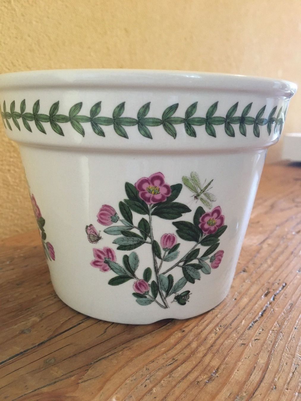 Blumentöpfe: Portmeirion The Botanic Garden – Neu und originalverpackt aus Siebnen von Starlauf
