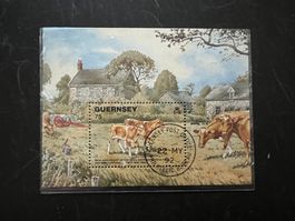 Guernsey  1992  Block  Kühe  gest.   (A964)