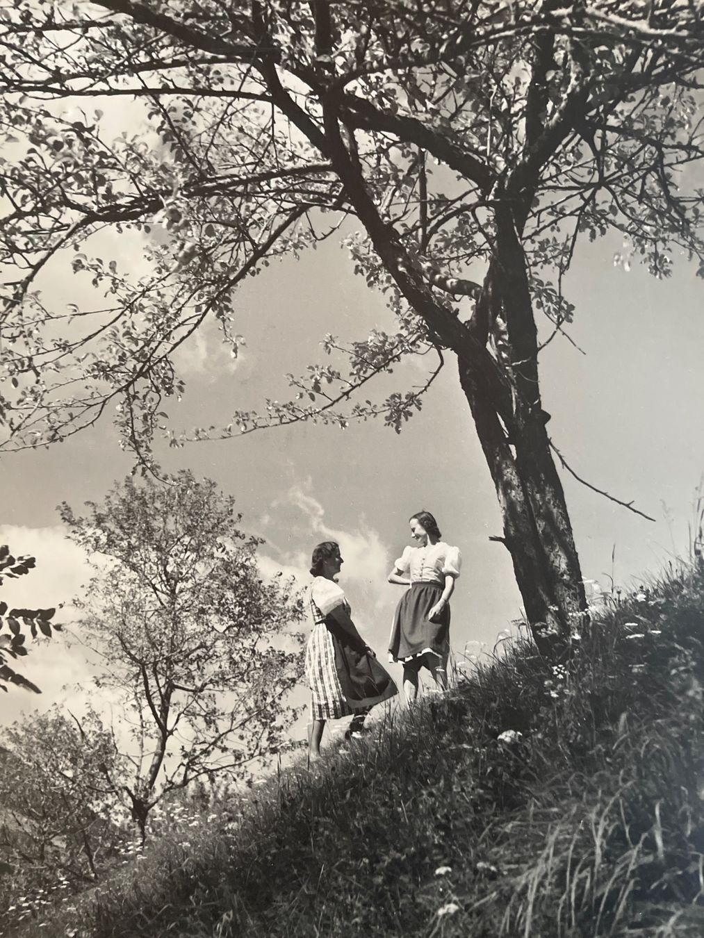 Poster & Bilder: Albert Steiner St Moritz – Gebraucht aus Untervaz von Kunstegga