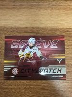 Sportzoo city watch genf rod