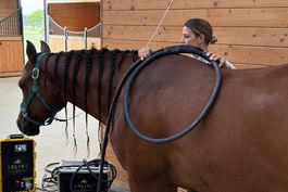 Magnetfeldtherapie für Pferde | Grosse Doppel-Schlaufe