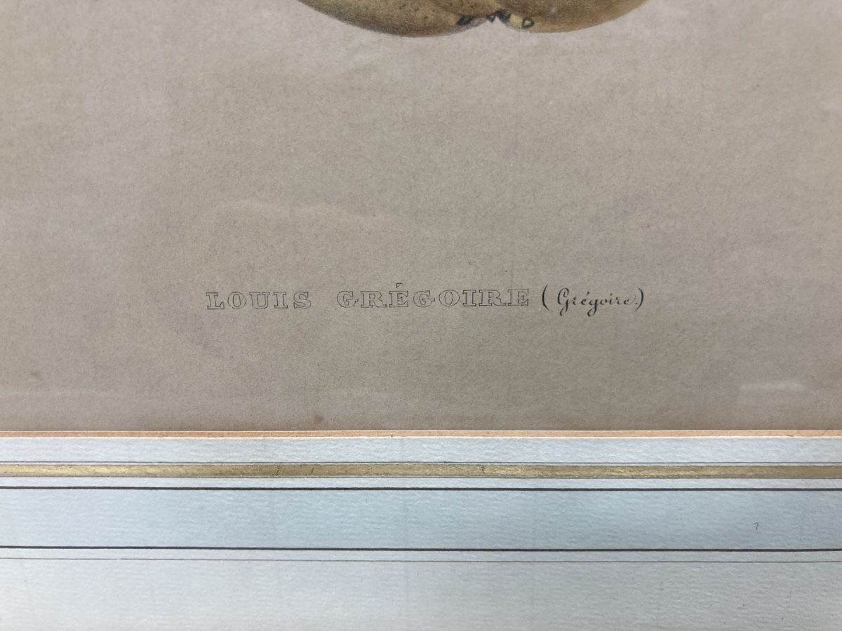 Foto & Immagini: Altes Bild Louis Gregoire – Usato da Volketswil venduto da Edwiga01 1