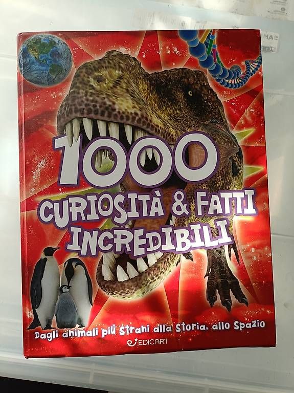 Libri: Libri per bambini – Usato da Ligornetto venduto da p5m23