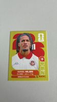Carte panini 2026 - TUN 14