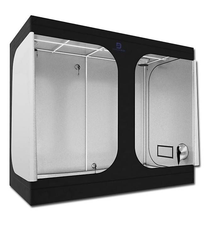 Altro: Set CBD Grow Hydro indoor – Usato da Hohenrain venduto da Schnaegli