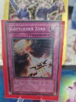 Yugioh Göttlicher Zaun RDS