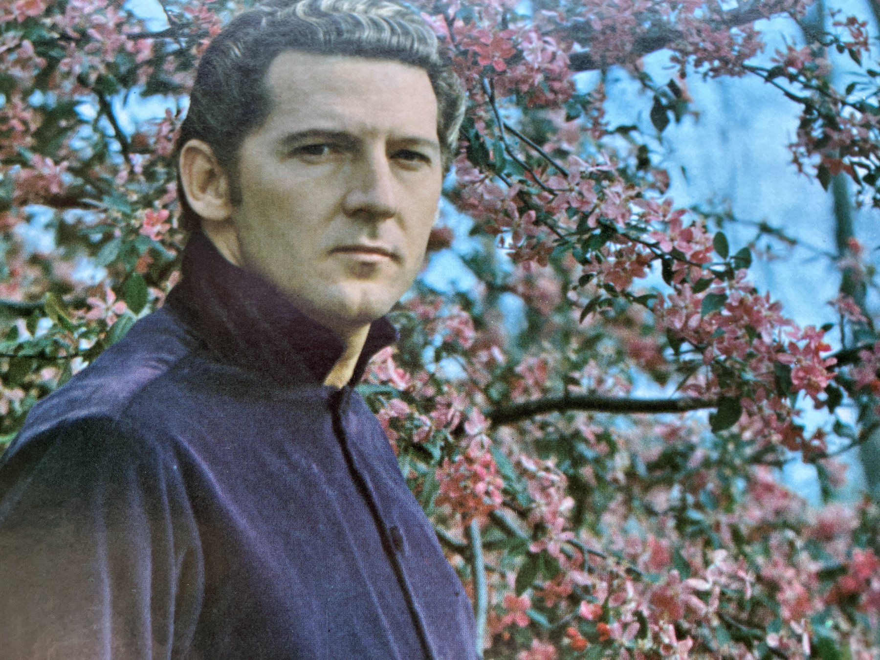 Dischi in vinile: Jerry Lee Lewis – Usato da Aarwangen venduto da Jukebox3 2