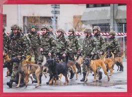HUNDEFÜHRER MIT MILITÄRHUNDEN