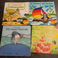 BA: 2 Maxi Pixi + 2 andere Bücher