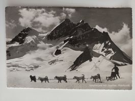 Jungfraujoch mit Polarhunden, alt, ungelaufen